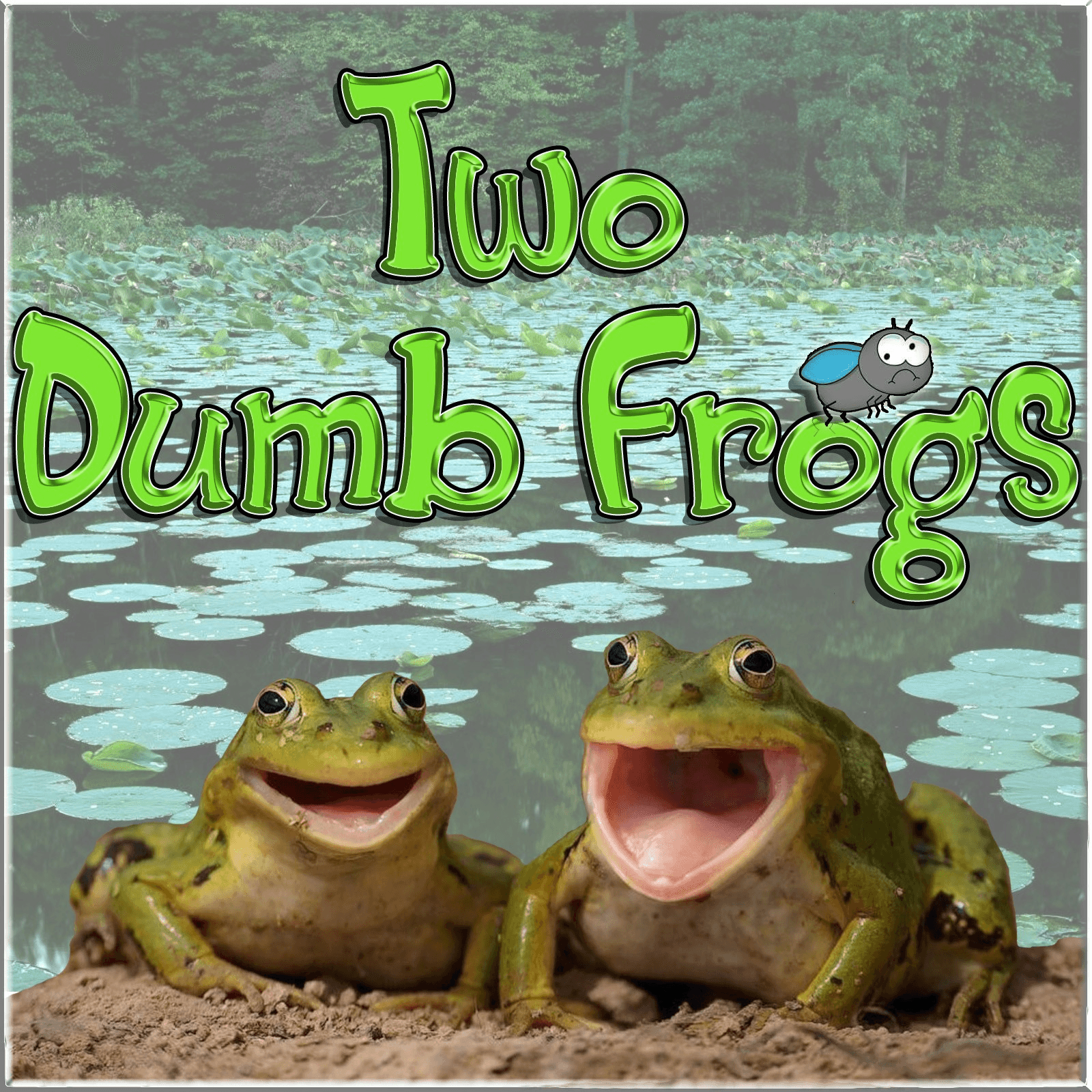 Two Dumb Frogs 