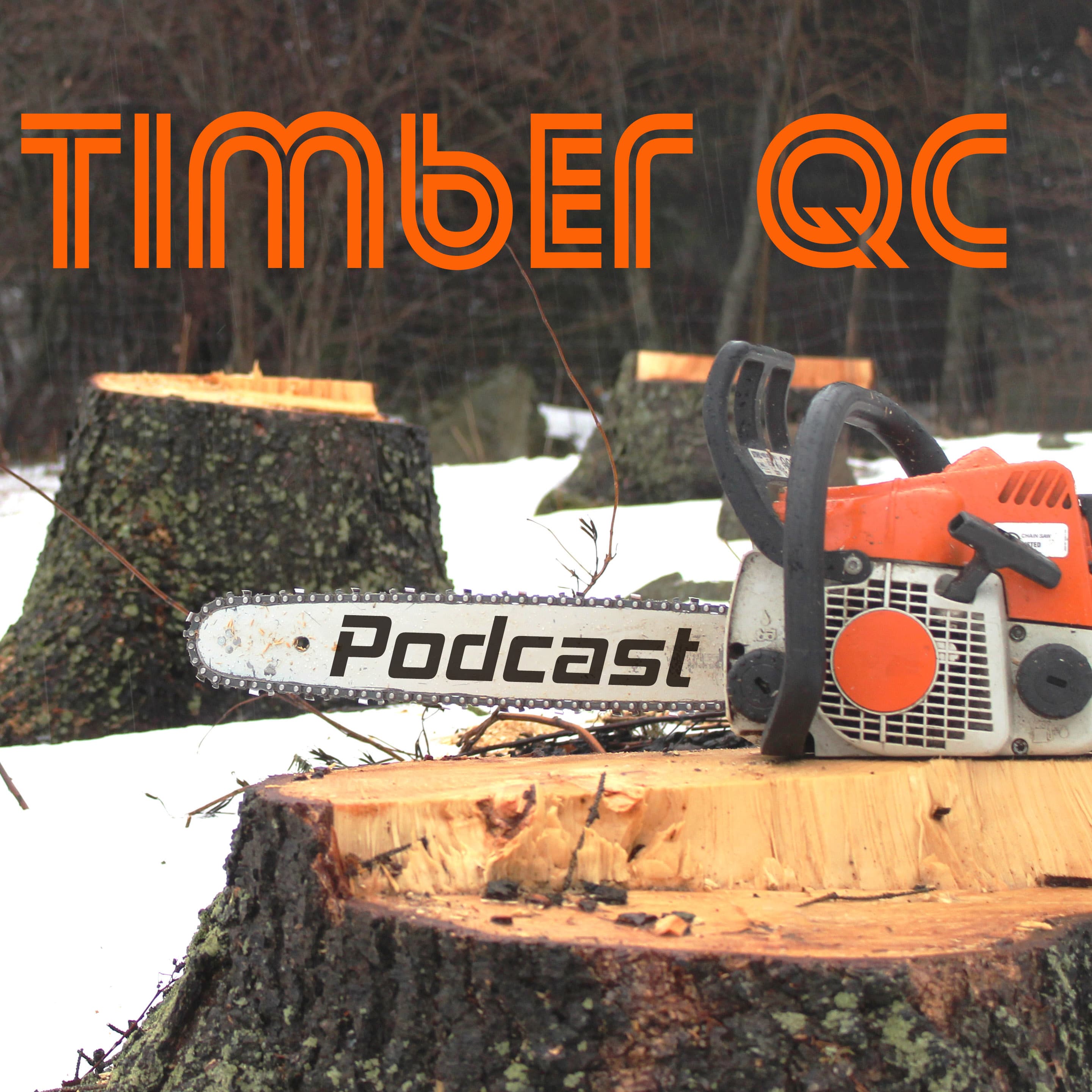 Timber Qc Podcast