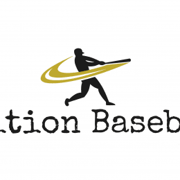 Édition Baseball