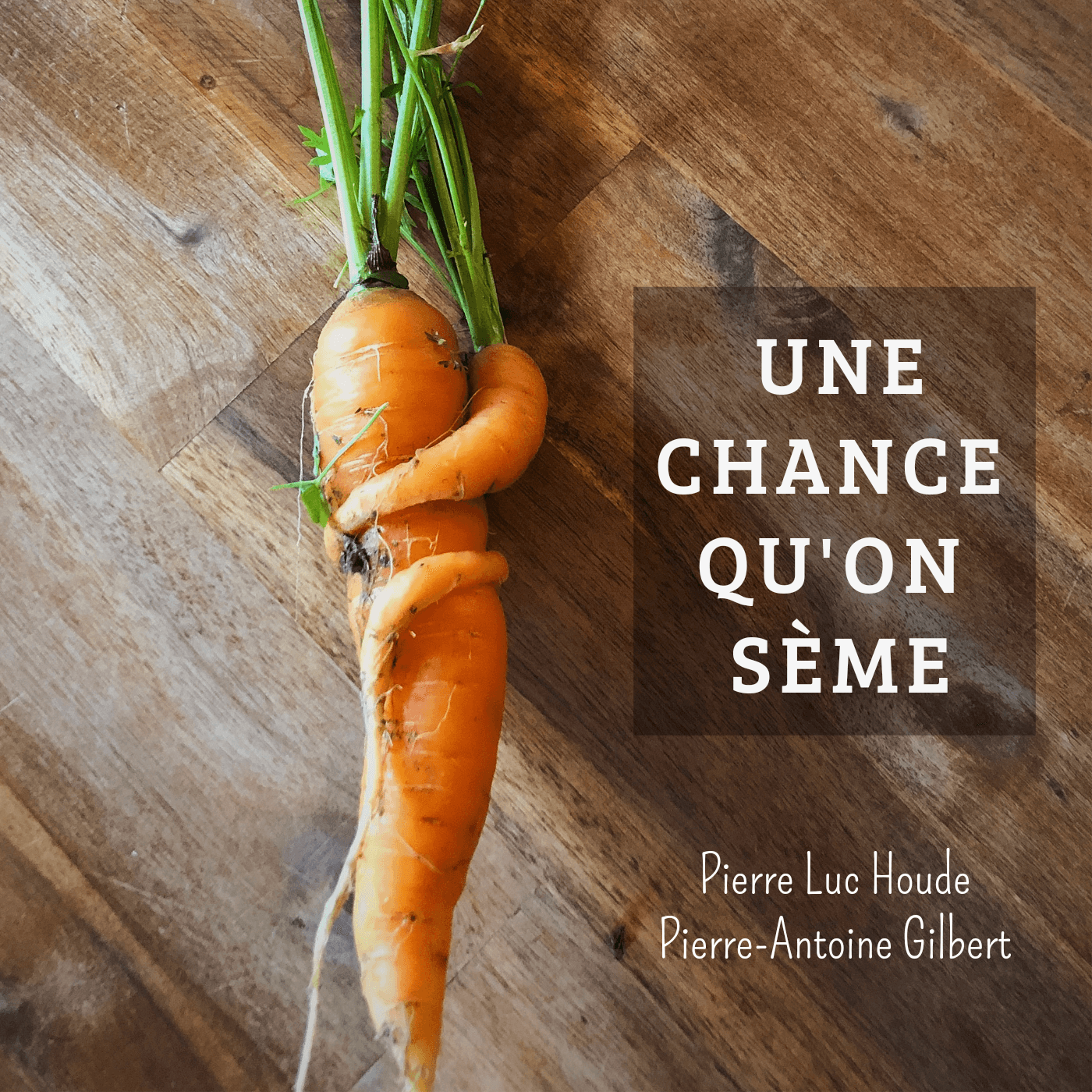 Une chance qu'on sème