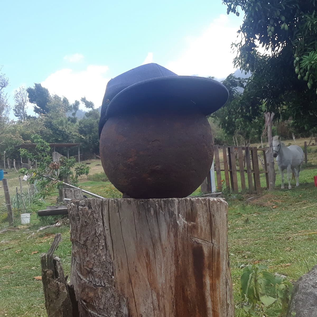 Dan Bien Gras 
