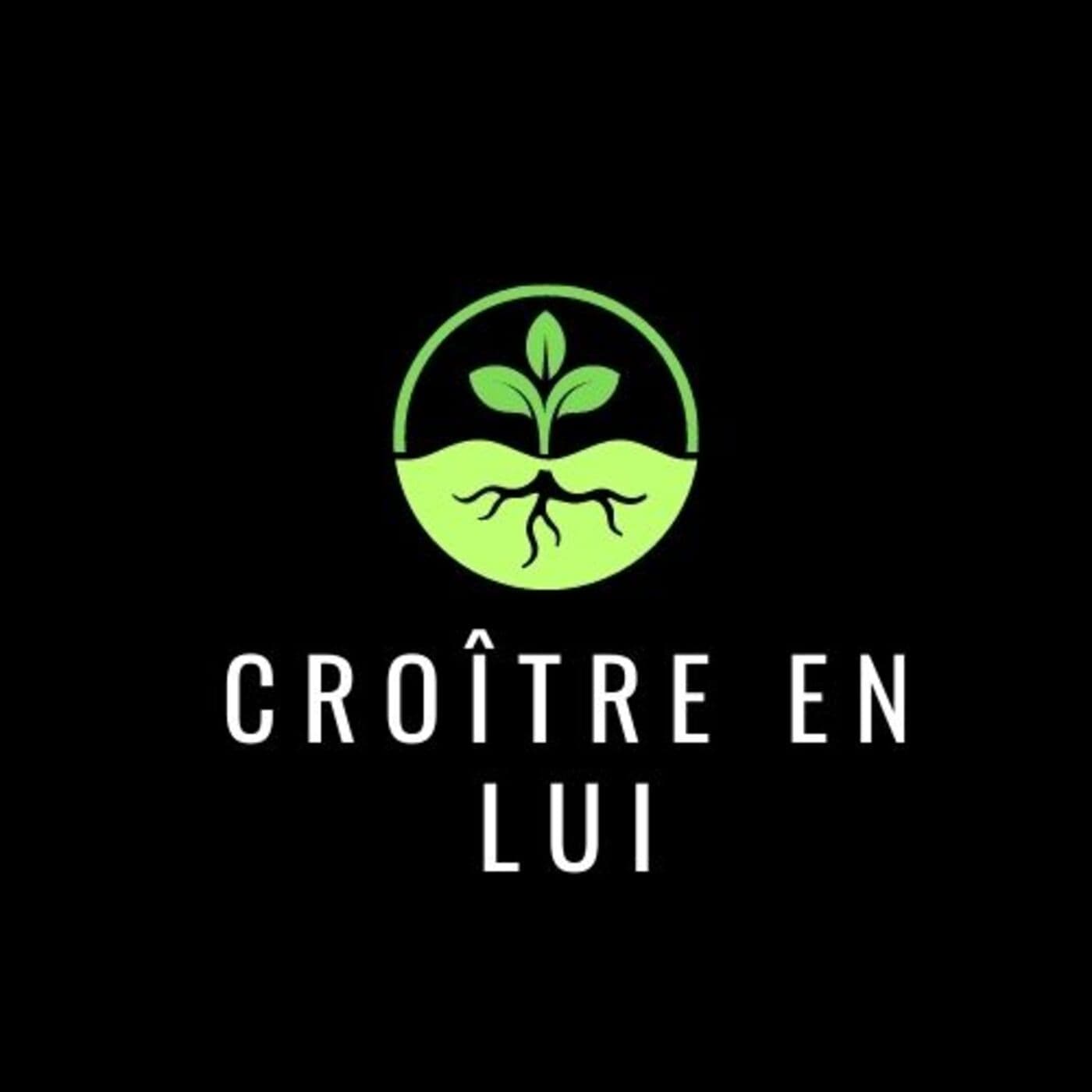 Croître en LUI 