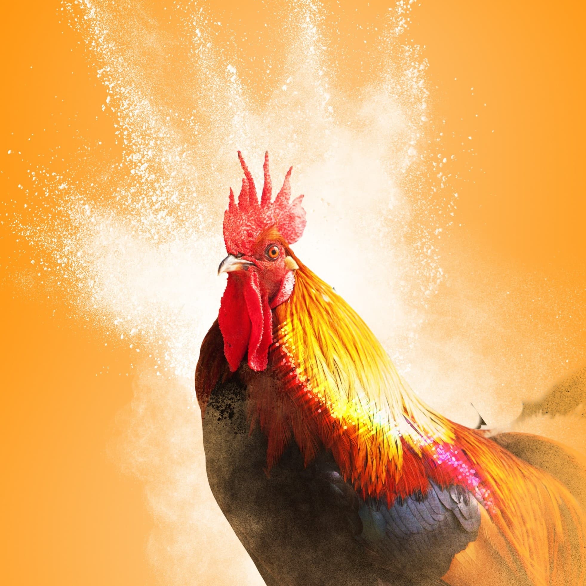 Du coq à l'âme 
