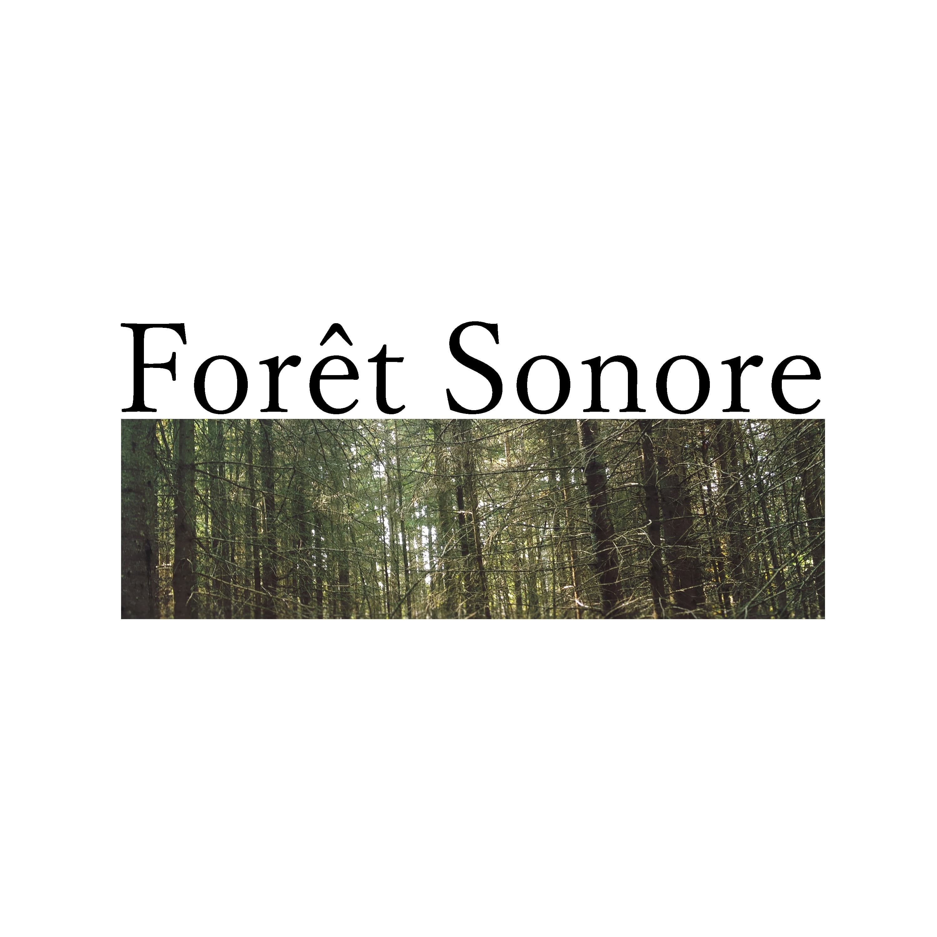 Forêt Sonore 
