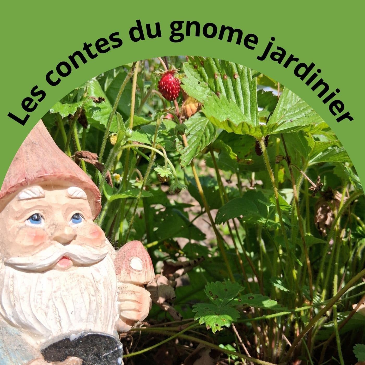 Les contes du gnome jardinier