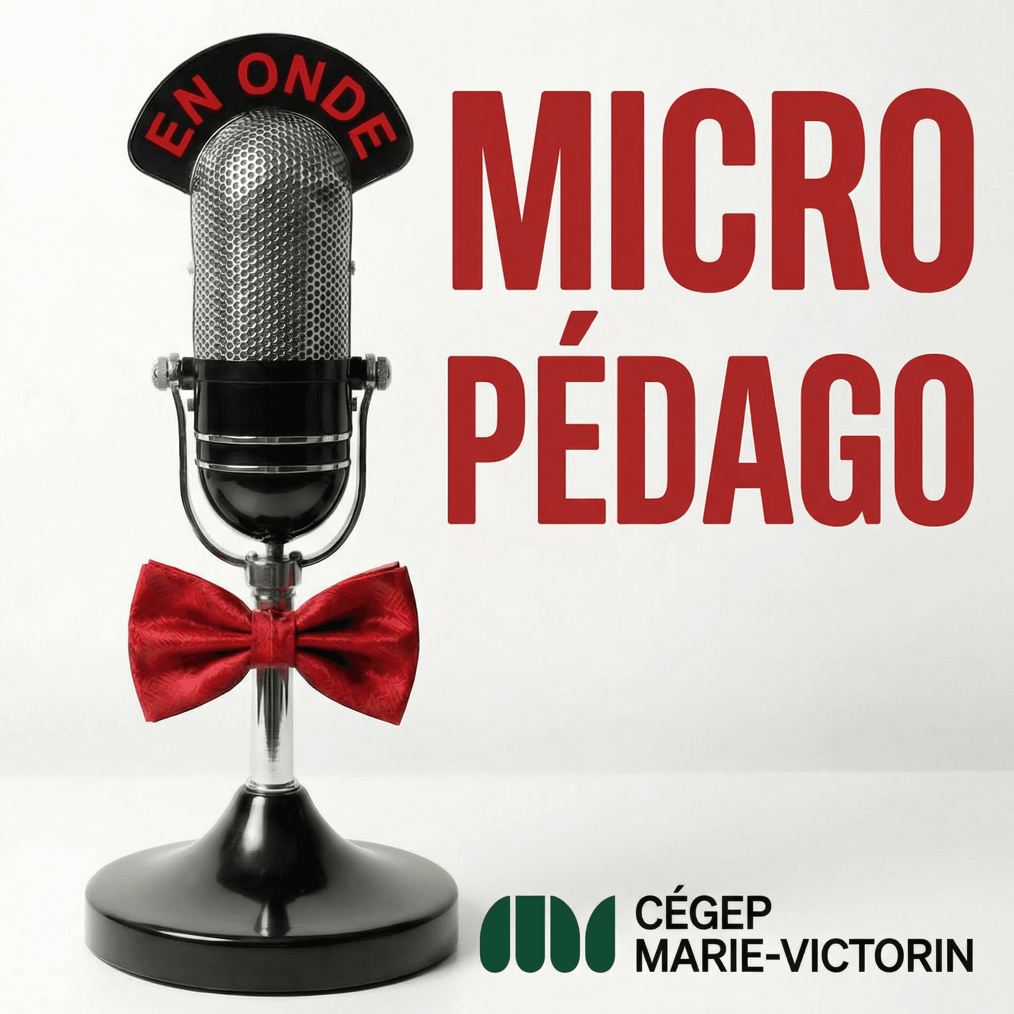 Micro Pédago 