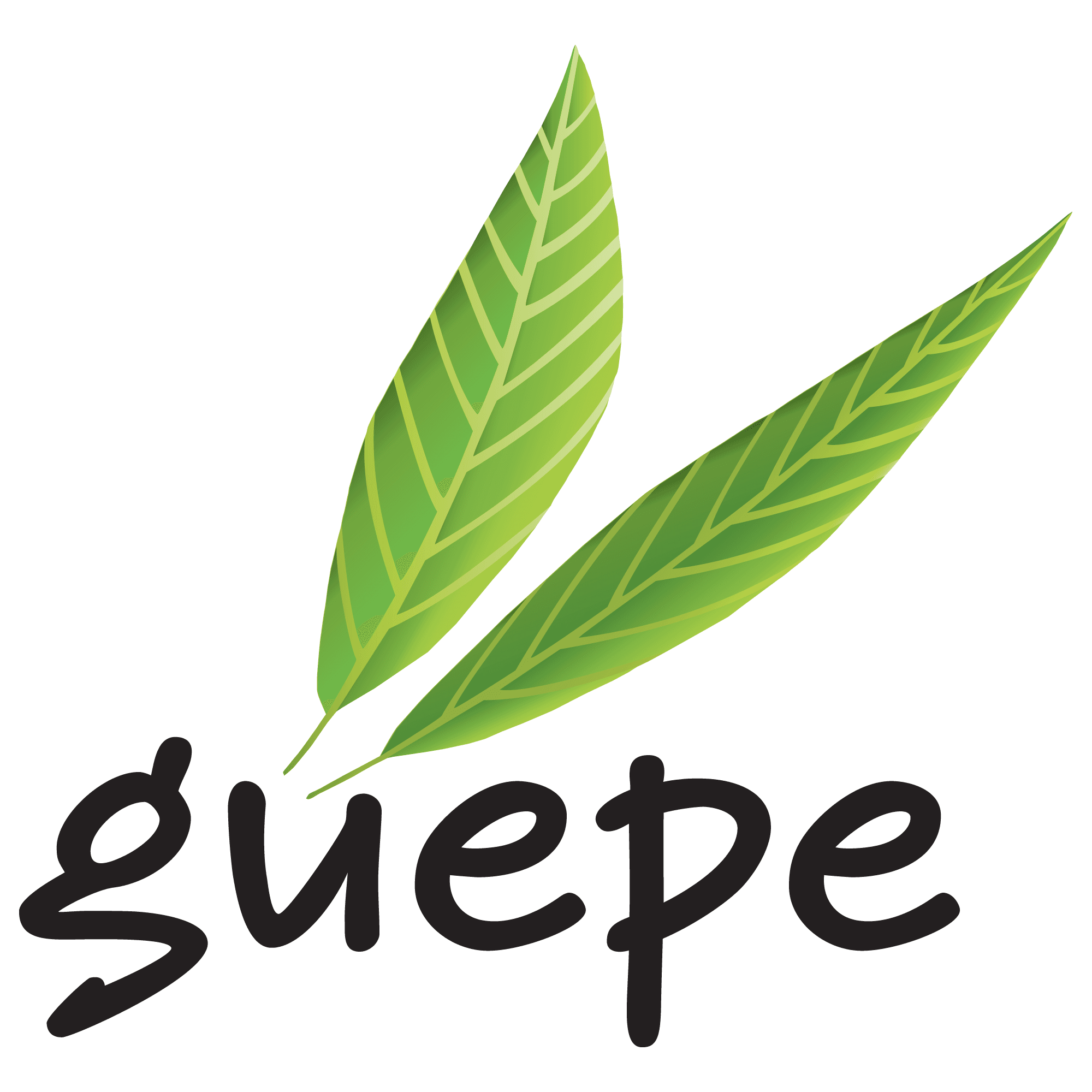 Audioguides GUEPE 