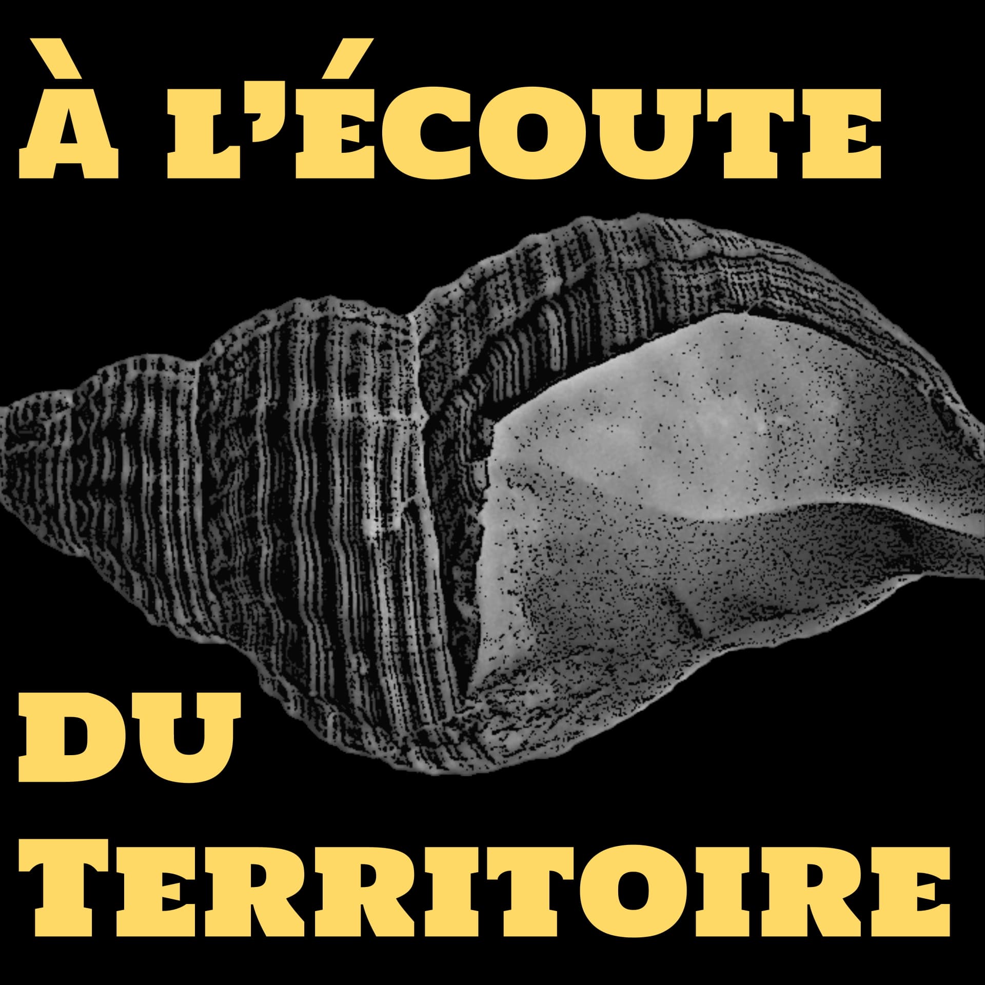 À l'écoute du territoire