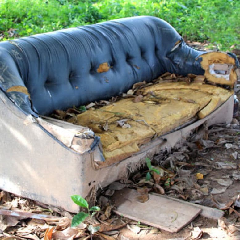 Discussion D'Couch