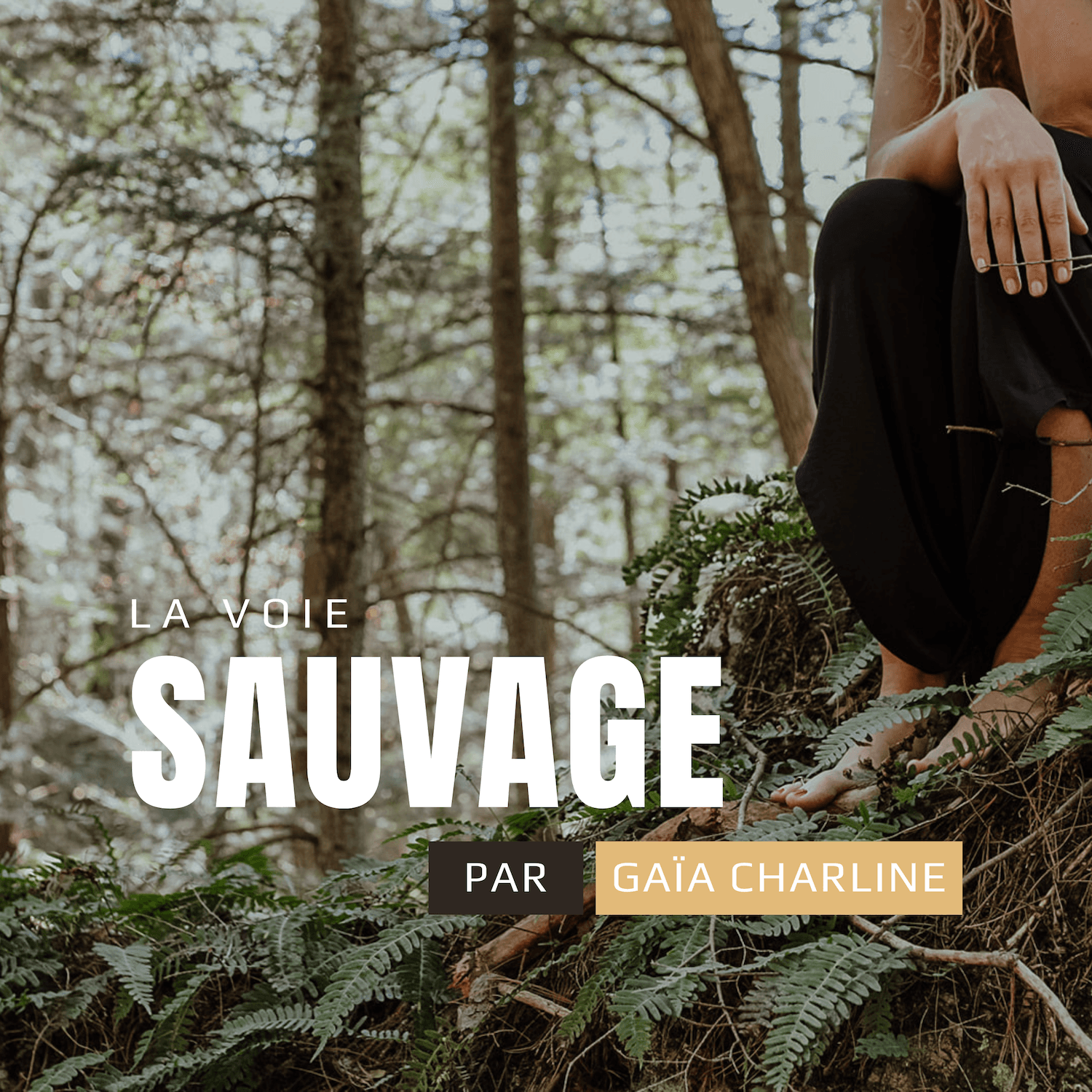 La Voie Sauvage