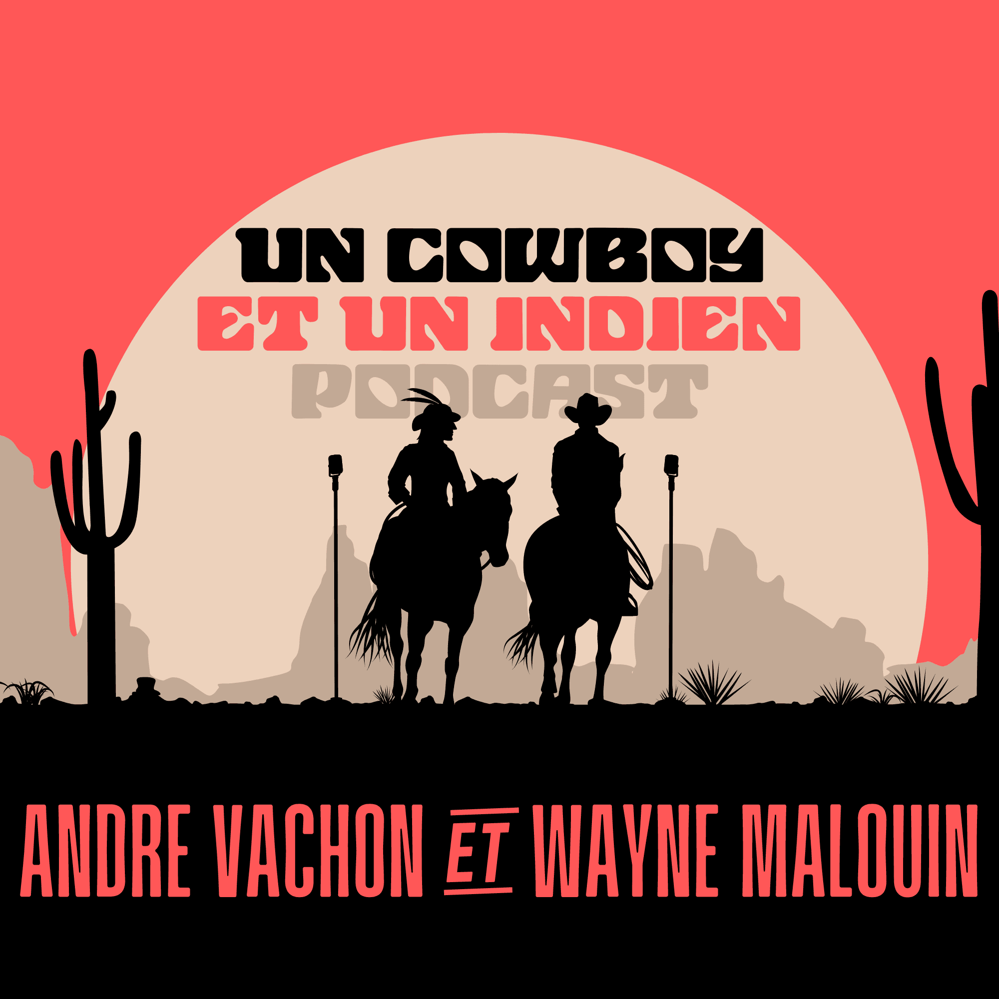 UN COWBOY ET UN INDIEN