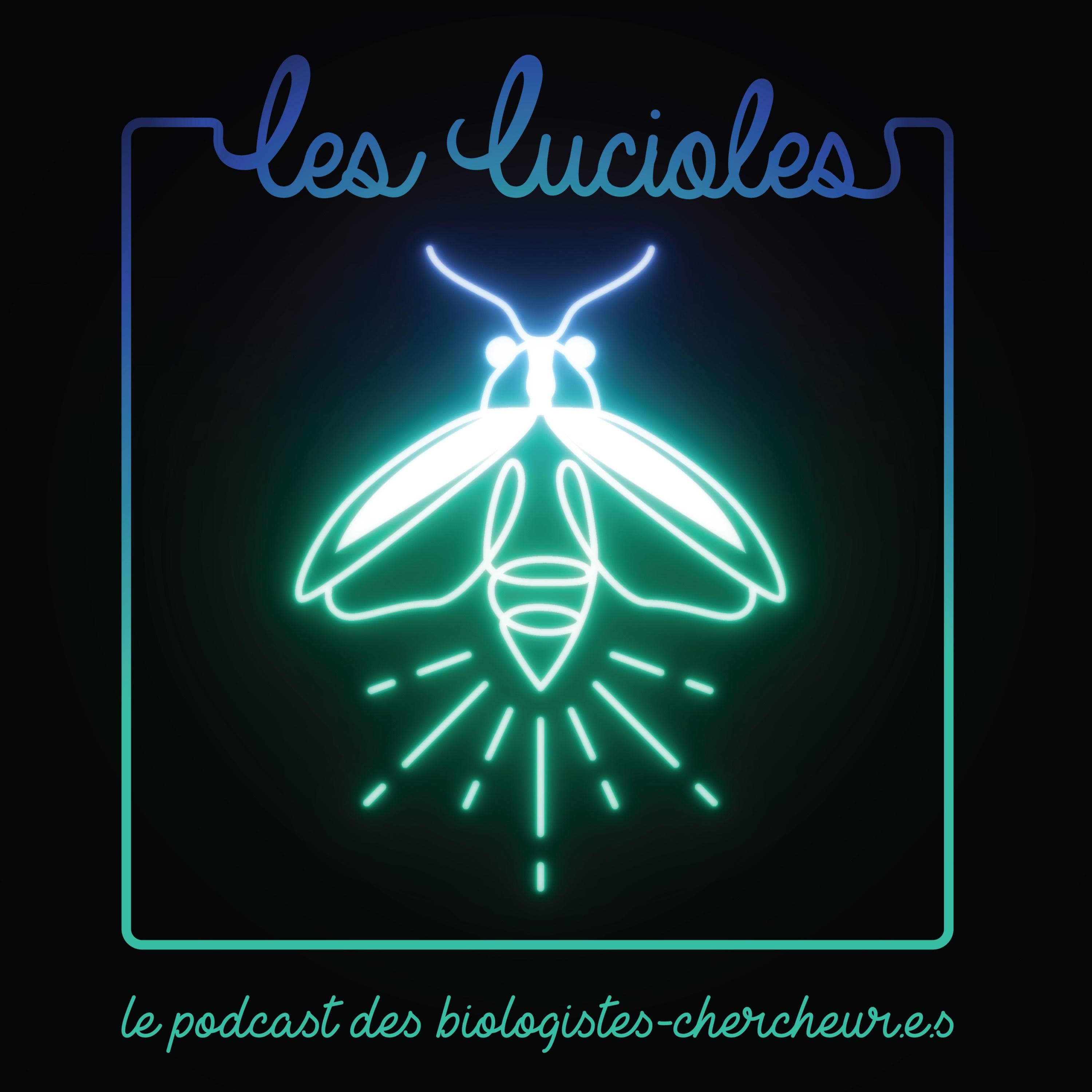Les Lucioles